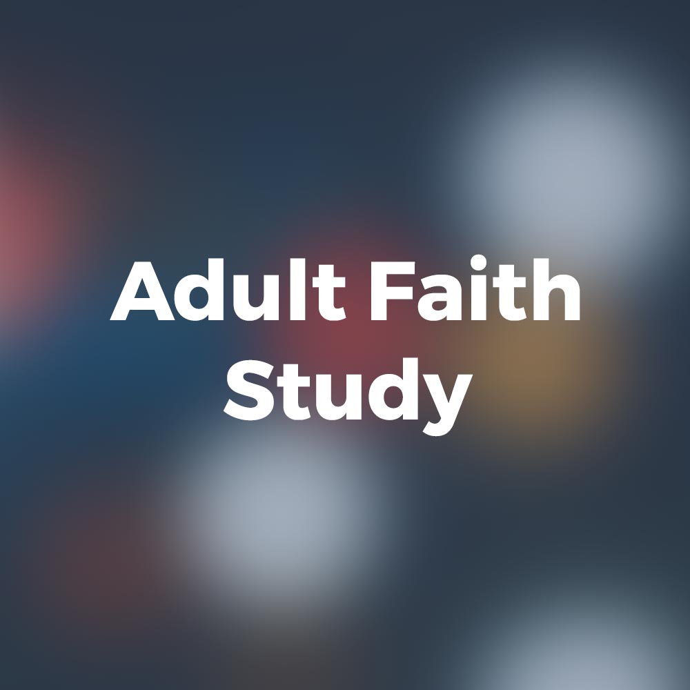 Adult Faith Study