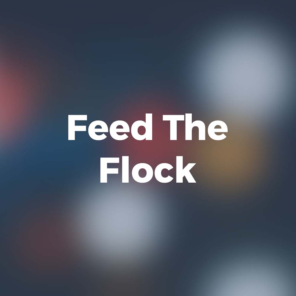 Feed The Flock